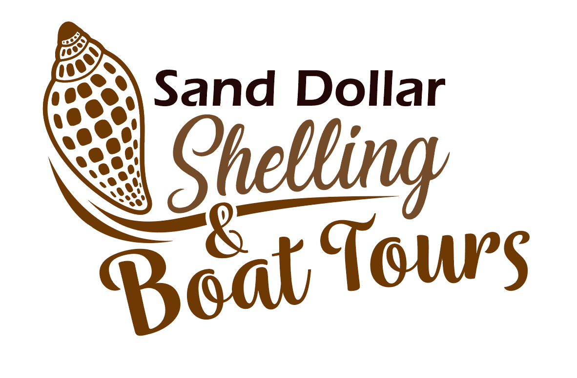 evan shelling & boat tours-1